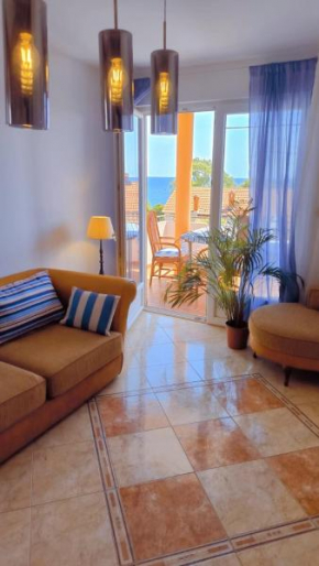 Apartment Dmitr Petrovac